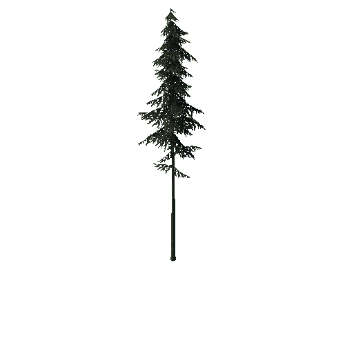 ConiferTreeBig03LOD2 (TVE Backup)